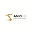 Amig FX