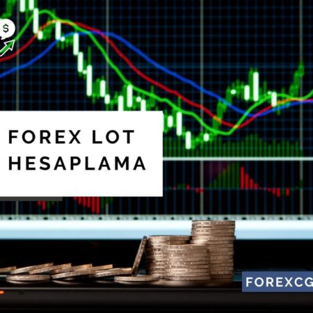 Forex Lot Hesaplama | Forex Lot Nedir?