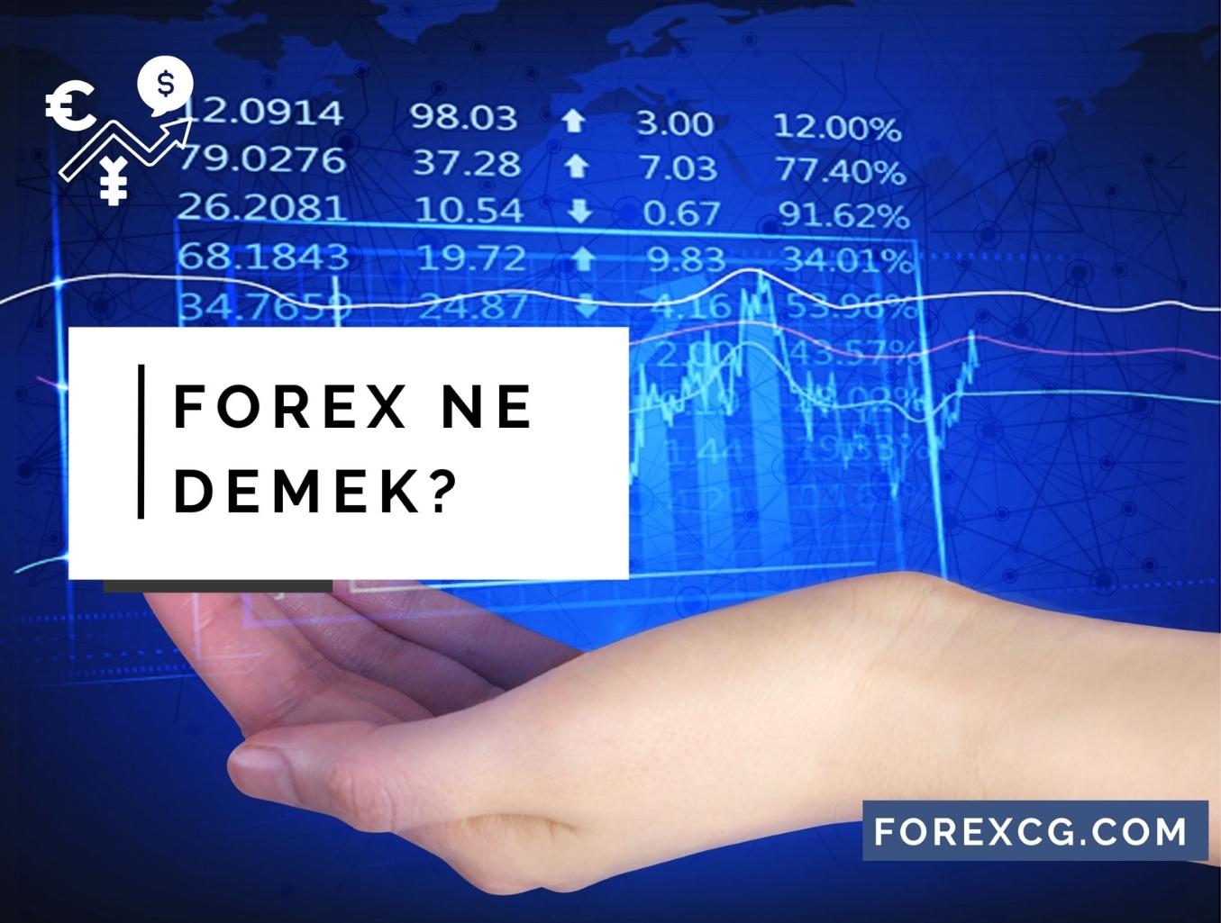 Forex Ne Demek