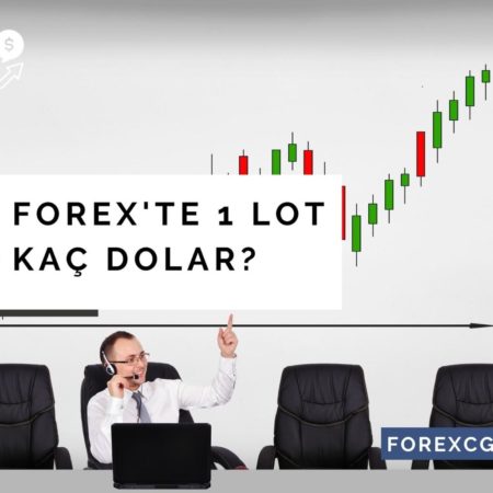 Forexte 1 Lot Kaç Dolar | Forexte Lot Nedir?