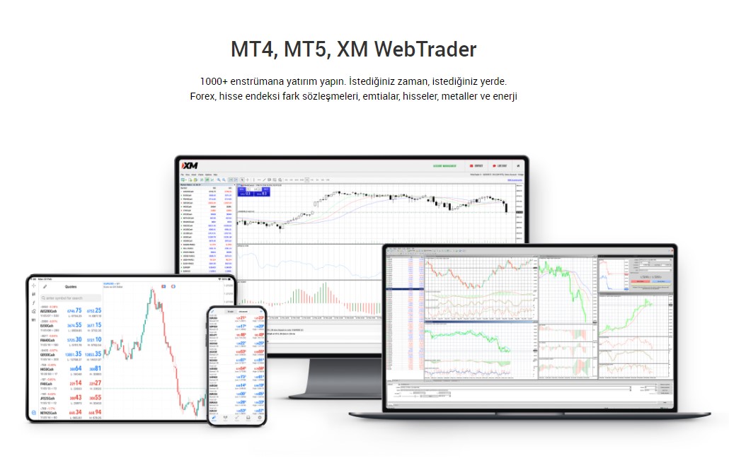 XM Forex Sistem